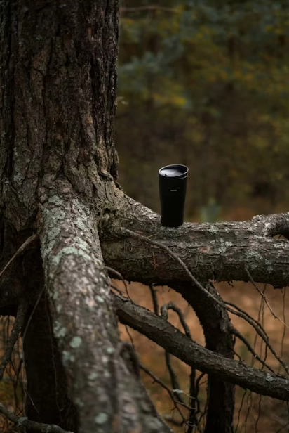 The Stylish Traveler's Checklist Must-Have Insulated Mugs for Hot & Cold Drinks