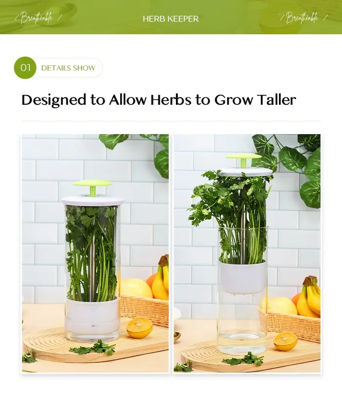 herb keeper