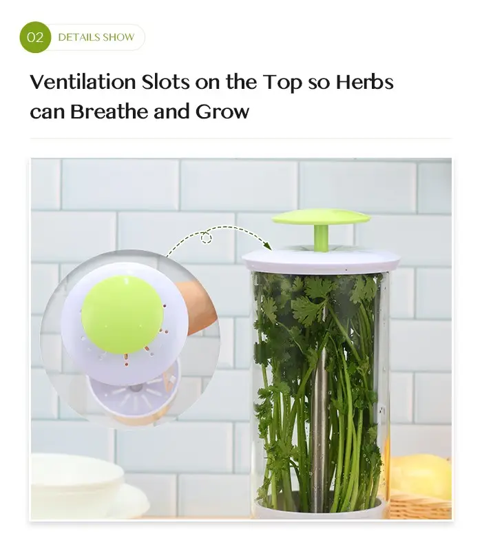 tall herb keeper